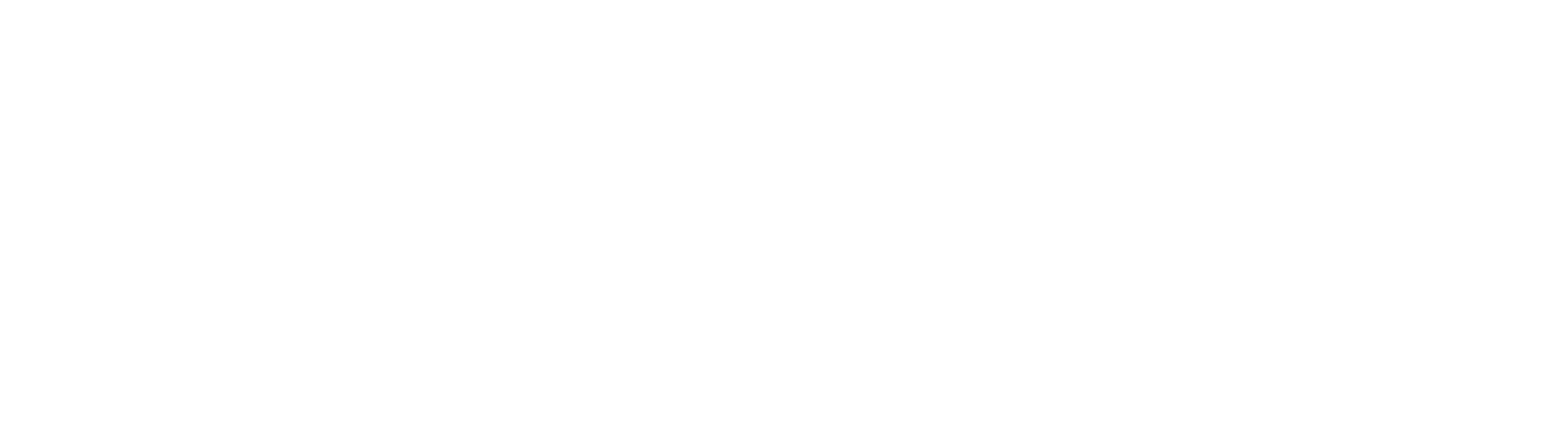 Official GOSONIC.COM Logo